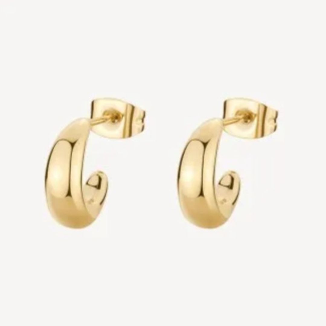 Orecchini Brosway Acciaio 316L BNL106